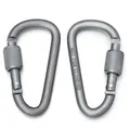 Portachiavi con moschettone a D in lega di alluminio grigio opaco con chiusura a vite - Forma a D / 2 Pezzi (5.8x3.1cm) / Canna di fucile