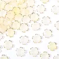 Cream white five-petal flower charms with gold edges for DIY handmade jewelry crafts - Yellow Gradient with Gold Edge