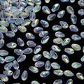 Perle a goccia in cristallo sfaccettato AB iridescenti per creazione di gioielli fai da te - 50 Pezzi/Confezione (8x12mm) / Bianco AB Forma Goccia Sfaccettata
