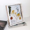 Marco de madera blanca vintage de 10 pulgadas para flores secas y especímenes. - Blanco retro