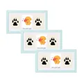 Mint green pet paw print keepsake photo frame with triple window display design - Blue (Triple Frame + Stone Plastic Clay + 2xInstructions + White Cardboard Box) / 18x33cm (Inner 15x30cm) / Blue
