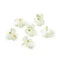 Detail view of iridescent pearl white flower pendants with gold jump rings for DIY jewelry. - Iridescent Cherry Blossom (11*11.5mm) / 10 Pieces Pack / Green (4656)