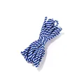 Zoom sur la corde en coton torsadée bleue et blanche pour le bricolage DIY et cadeaux - Bleu Royal/Blanc