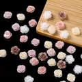 Elegante Vintage Mini-Resin-Rosenblüten in verschiedenen Farben für DIY-Nagelkunst - 3D Rose (AC4514) / Große Größe (20 Stück/Packung) / Zufällige Mischfarben