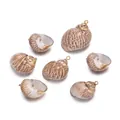 Colgantes de concha natural con bordes chapados en oro para creación de joyas DIY - Caracol de Luna (E33)