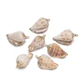 Colgantes de concha natural con bordes dorados para creación de joyería artesanal - Conch (E35)