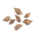 Colgantes de concha natural con bordes chapados en oro para joyas y accesorios DIY - Caracol de Espina (E42)