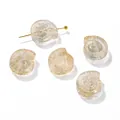 Handgefertigte champagnerfarbene Glasschliffperlen in Schneckenform für DIY-Schmuck - 5 Stück / Gold Rosa