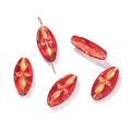 Dettaglio di perle ovali in vetro ceco rosso con eleganti motivi in foglia d'oro - 5 Pezzi/Confezione (9.5x20mm) / Rosso