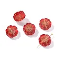 Vintage red flower glass beads with gold-traced petals for DIY jewelry designs. - Flower Shape (AC4783) / 5 Pieces / Red