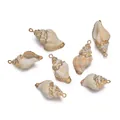 Set de colgantes de concha natural con bordes dorados para la creación de joyas DIY - Caracol de Mar (E43)
