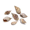Set de colgantes de concha natural con bordes dorados para la creación de joyas DIY - Caracol de Nassa (E46)