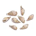 Dijes de concha de mar natural con bordes dorados para crear joyas artesanales. - Caracol de Babilonia (E51)