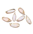 Colgantes de concha natural con bordes dorados para creación de joyas artesanales DIY - Rebanada de Caracol Oliva (E54)