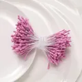 Fascio di stami di fiori in gesso viola opaco da 2 mm per accessori artigianali fai-da-te - 1 Fascio (circa 400 steli, circa 20g) / Rosso rosa