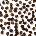 Perles irrégulières en acrylique imitation pierre ambre foncé pour bijoux DIY - 20 Pièces/Paquet / Marron