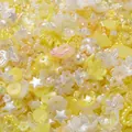 Mixed yellow acrylic flower and star beads for DIY jewelry and nail art accessories. - (5-15mm) 20 Grams / Yellow Series