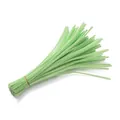 Bundle of mint green chenille stems pipe cleaners for DIY handmade bouquet crafts. - Grass Green