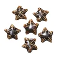 Perle a forma di stella in ceramica smaltata marrone per gioielli fai-da-te - Stile 03 (Forma a stella marina) / Confezione da 2 (circa 19,5x21 mm)