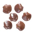 Handgemaakte 12x13,5mm bruine keramische kralen in schelpvorm voor eigen DIY-werk - 5 Stuks / Bruin