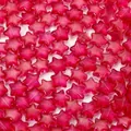 Detailansicht von pinkfarbenen Stern-Glasperlen mit Goldglitzer für DIY-Schmuckdesign. - Rot