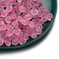 Frosted pink acrylic heart pendants with silver bails for DIY jewelry making crafts. - Heart Shape / 5 Pieces/Pack / Rose Red