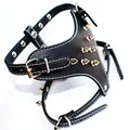 Punk spiked PU leather dog harness with adjustable buckles and white decorative stitching detail. - Black