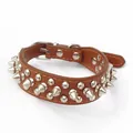 Collier pour chien en cuir PU marron avec des rivets décoratifs en métal style punk - Collier ras-du-cou / M: 2,5*42CM / Café