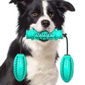 Gros plan d'un Border Collie tenant un jouet à mâcher robuste turquoise avec cordes - Haltère B Balle / Bleu
