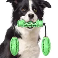 Gros plan d'un chien tenant un jouet à mâcher en caoutchouc vert avec des cordes - Haltère B Balle / Vert