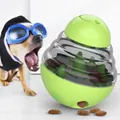 Interactive green tumbler dog toy slow feeder food dispenser ball for pet enrichment - Tumbler Toys / Green