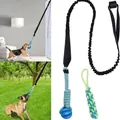 Hundespielzeug-Set mit interaktivem Maisseil und Beißball für hohe Rückfederung. - 3-teiliges Set / Blau