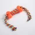 Durable orange bone-shaped spiked dog chew toy with colorful braided cotton ropes - Short Rope Bone / Orange
