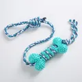 Durable mint green rubber bone dog chew toy with sturdy blue and white braided rope - Interactive Rope Bone / Blue