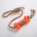 Colorful braided rope dog chew toy with spiked orange rubber bone for dental care - Interactive Rope Bone / Orange