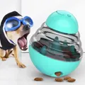 Mint green pet treat dispenser toy with tumbler slow feeder design for dogs and cats - Tumbler Toys / Lake Blue
