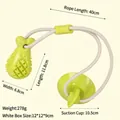 Juguete con ventosa verde para perros con púas molares y medidas de tamaño - Forma de Muslo de Pollo (Linterna Muslo de Pollo) / Con Ventosa y Cuerda / Verde
