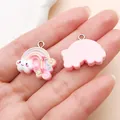 Leuke roze cartoon regenboog wolk hars hanger voor DIY sieraden accessoires - Ster Regenboog (24562) / 1 Stuk (20x20x5mm) / Roze