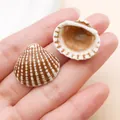 Colgantes de concha acrílica a rayas marrones y blancas para bisutería DIY de playa - Concha de Simulación (27388) / 1 Pieza (21x24mm) / Marrón