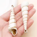 Par de colgantes de concha de caracol en espiral de acrílico blanco para joyería en la mano. - Concha Marina (27396) / 1 Pieza (68x18mm) / Marrón