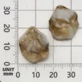 Marbled brown and white acrylic scallop shell charms with holes for DIY jewelry making - Shell Shape (17273) / 1 Piece (17x20mm) / Creamy White with Brown Texture