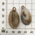 Brown acrylic cowrie shell pendant with scale for DIY jewelry and wind chime accessories - Conch Shape (17287) / 1 Piece (17x32mm) / Creamy White with Brown Texture