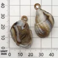 Detailed view of brown and white acrylic conch shell charms for DIY craft accessories - Acrylic Conch (17289) / 1 Piece (19x31mm) / Creamy Marble