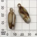 Brown marble acrylic snail shell bead pendant for DIY jewelry on a mm scale grid - Acrylic Conch (17285) / 1 Piece (11x29mm) / Creamy Marble