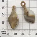 Acrylic conch shell pendants with brown marble texture for DIY crafts, 25mm size - Conch Shape (17279) / 1 Piece (14x31mm) / Creamy White with Brown Texture