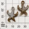 Realistic brown and white starfish acrylic charm displayed on a measurement grid - Starfish Shape (17274) / 1 Piece/Pack (18x25mm) / Creamy White with Brown Texture