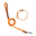Ensemble collier et laisse orange pour petits chiens avec boucles en métal - Ensemble Collier et Laisse / XS / Orange