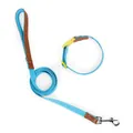 Ensemble laisse et collier pour chien bleu clair avec poignée en cuir pour chiens - Ensemble Collier et Laisse / XS / Bleu ciel