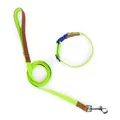 Ensemble de collier et laisse pour chien vert néon et marron pour petit dressage. - Ensemble Collier et Laisse / XS / Vert Herbe