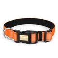 Collier pour chien orange réfléchissant avec plaque d'identification personnalisée gravée - S / Orange